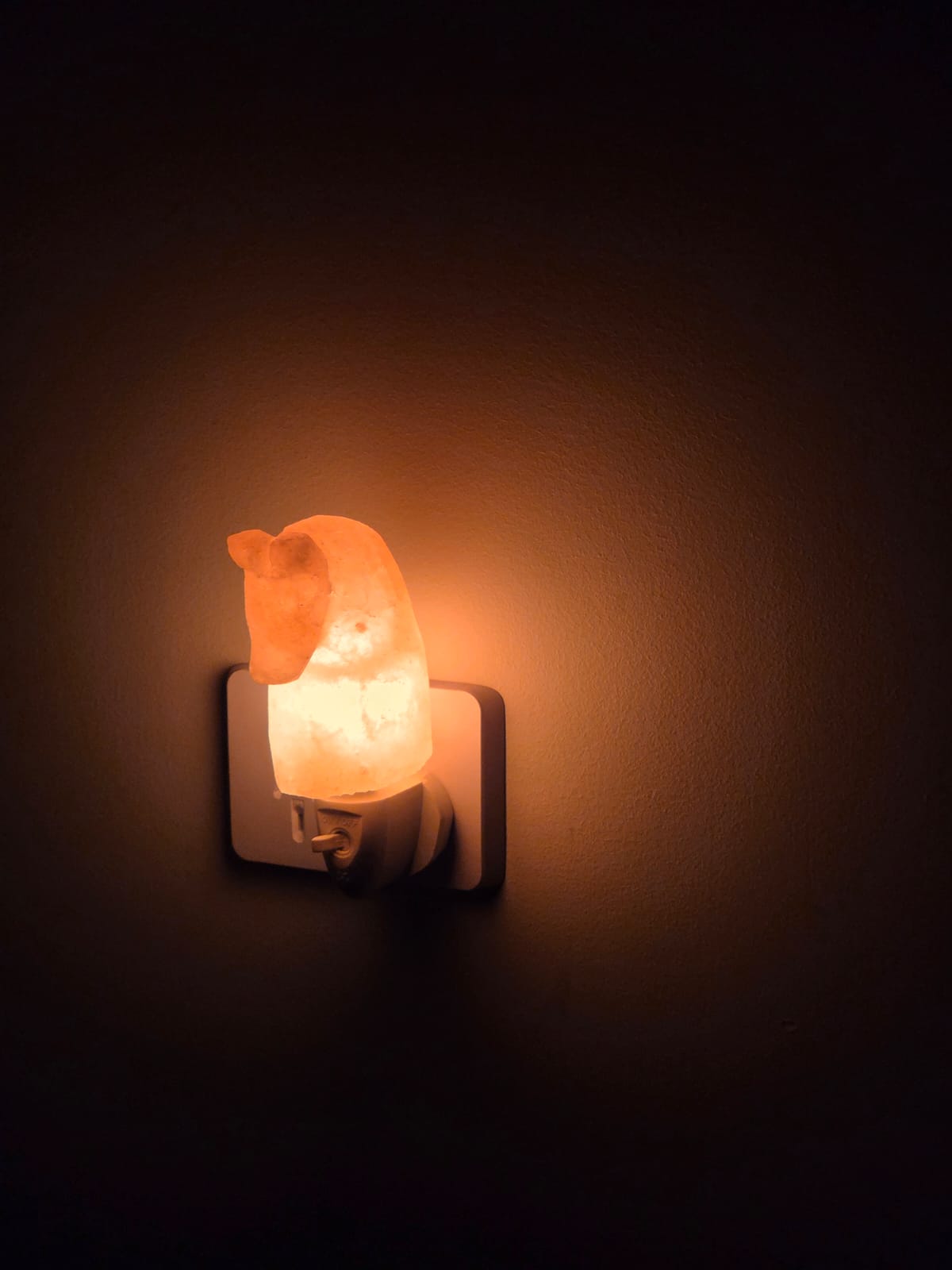 Mini Salt Night Light