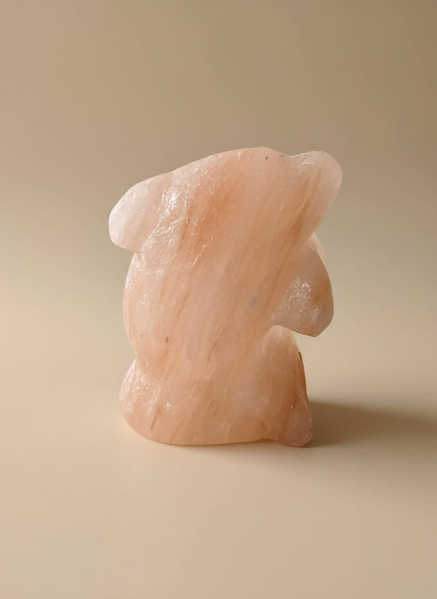 Mini Salt Night Light